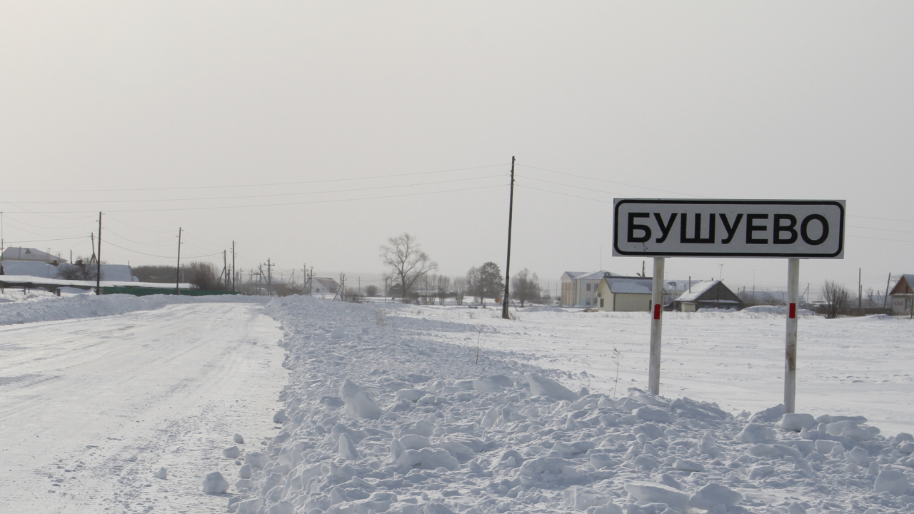 Погода юргинское тюменской. Тюменская область Юргинский район село Бушуево. Село Бушуево. Деревня Бушуево Юргинского района. Заозерная Юргинский район Тюменская область.